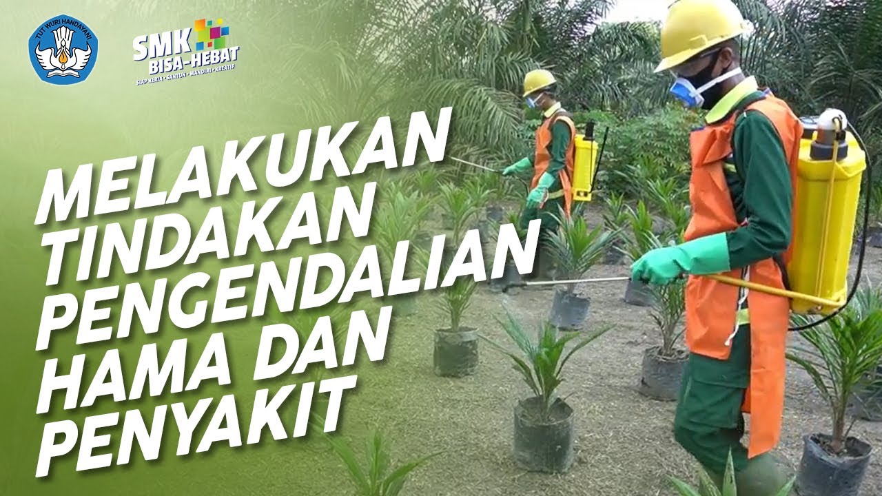 Melakukan Tindakan Pengendalian Hama dan Penyakit (Tread Pest and Diseases) - Agribisnis Tanaman