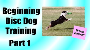 How Teach Your Dog To Play Disc From Scratch: Part 1