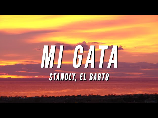 Standly - Mi Gata (Letra/Lyrics) ft. El Barto class=