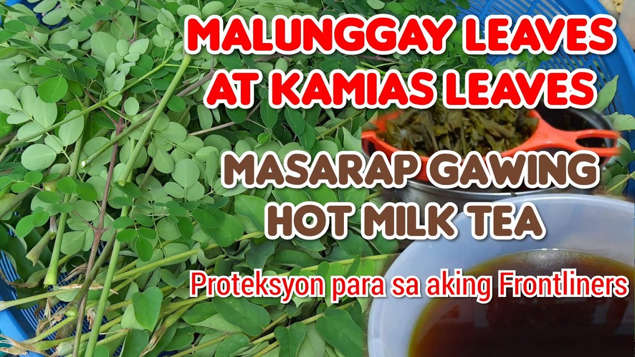 Malunggay Leaves with Kamias Leaves Protection For My FRONTLINERS | Masarap Gawing Hot Milk Tea