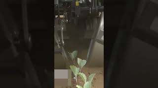 Kubota Full Automatic Vegetable Transplanter 1 row Field-planting SKP-101 #shorts #agrimachinery