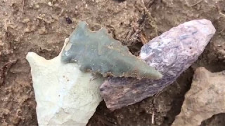 Green Flint Serrated Arrowhead! ~ 532. Artifact Find! May 2017