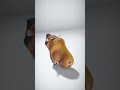 Glb100K Rigged Character - AI Rigged 3D Character