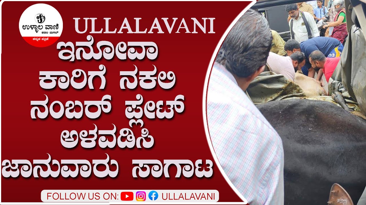 ಇನೋವಾ ಕಾರಿಗೆ ನಕಲಿ ನಂಬರ್ ಪ್ಲೇಟ್ ಅಳವಡಿಸಿ ಜಾನುವಾರು ಸಾಗಾಟ ಪೊಲೀಸರನ್ನು ದೂಡಿ ಇಬ್ಬರು ಪರಾರಿ, ಮೂವರು ವಶಕ್ಕೆ