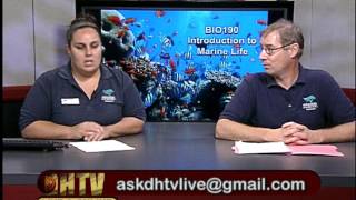 BIO190 Session #5 Fall 2015