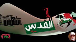 mahmoud khalil al hussary 028 al qasas