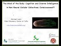 My talk on consciousness at the science of consciousness 2023