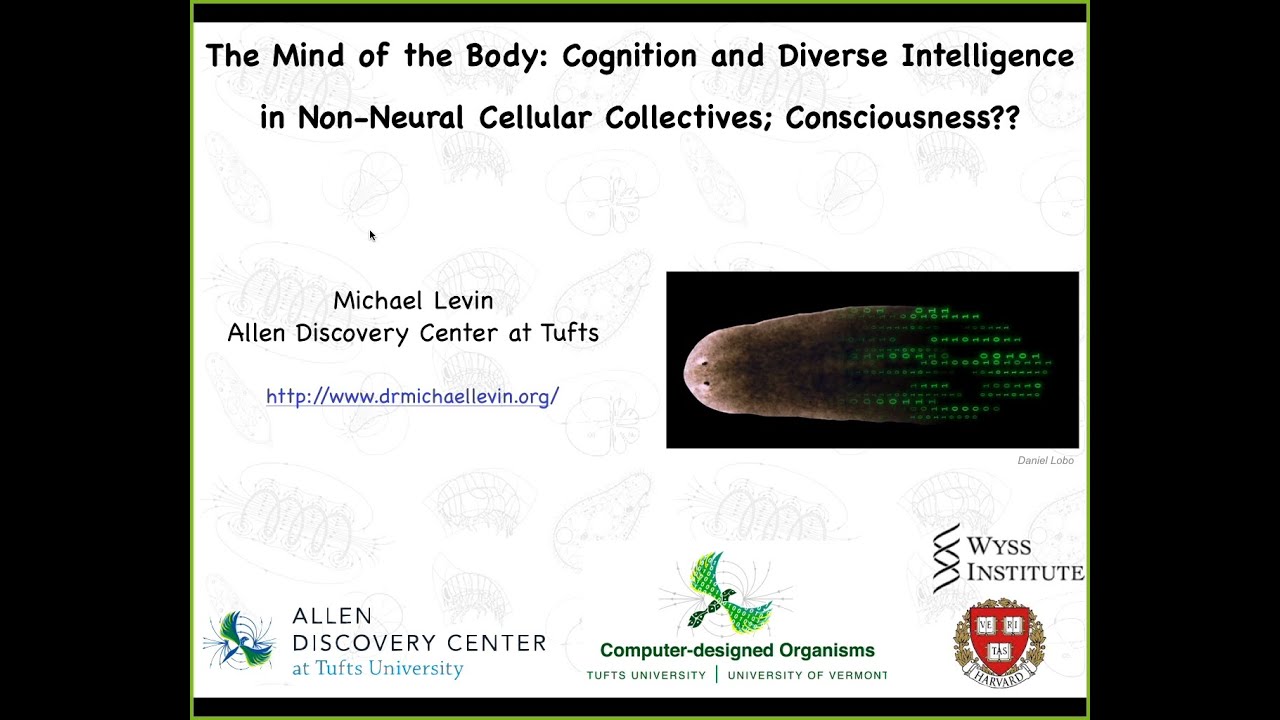 My talk on consciousness at the Science of Consciousness 2023 - YouTube
