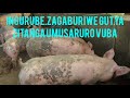 PART3 TWIGE KWIVANGIRA IBIRYO BY INGURUBE BYA FINISHER PART3 TWIGE KWIVANGIRA IBIRYO BY INGURUBE BYA FINISHER