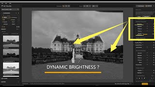 DYNAMIC BRIGHTNESS IN NIK COLLECTION 7 SIVER EFEX  TUTORIAL