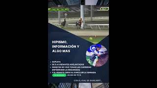 PUBLICIDAD