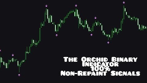 Binary Orchid Back Test Video 100% Non Repaint Signals With Up To 95% Accuracy