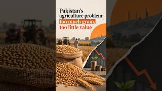 Pakistan&rsquo;s agriculture problem: too much grain, too little value