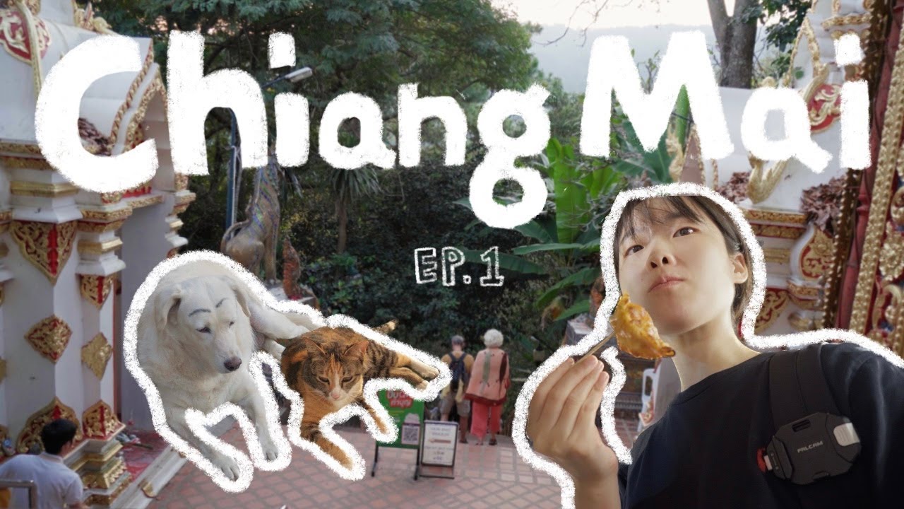 꽉찬 일정으로 여행하는 치앙마이 여행기 (🇹🇭치앙마이 EP.1) | POR 싱하랏, 징짜이 마켓, 코코넛 마켓, 원님만, 세븐센스 젤라또, 차린파이, 도이수텝, 타페 야시장