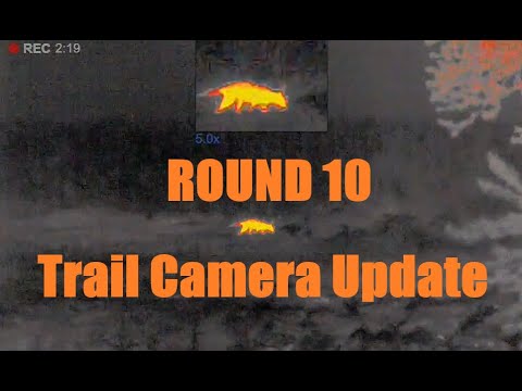 Trail camera update from round 10.