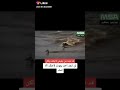 عبد العليم محمد حسن عبد الله القاعدي عبد العليم محمد حسن عبد الله القاعدي