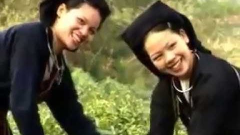 Điệu hát soong cô hát đối đáp dân tộc sán dìu tập 2