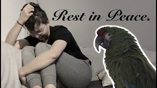Rest in Peace || Importance of Disease Testing || Part 1