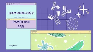 Immunology | PAMPs and PRRs
