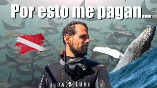 ¿Cómo es el Buceo en Cabo Pulmo?  Baja California Sur, México  Instructor de Buceo