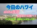 【今日のハワイ】Hawaii Today わたしのお住まい公開〜！さよならワイキキ〜！！#ハワイ 