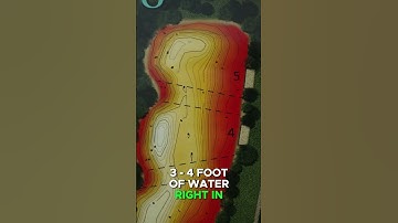 A guide to location Carp this Winter! ❄️🧐🐟