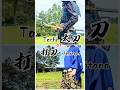 太刀と打刀の違いーThe difference between the tachi and the uchigatana.ー