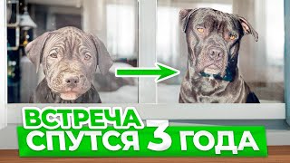 ВСТРЕЧА со ЩЕНКОМ три года спустя!