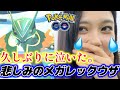 【号泣💔】メガレックウザレイドで泣いてしまった(T_T)💦 高個体を狙え✨️💗 ポケモンGO8周年イベント🎉✨️ポケモンGO Pokémon GO Japan raids GBL 일본인 포켓몬고