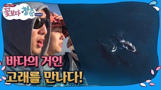 tvnbrosspinoff 드디어 고래님 영접♥ 우오오 반짝반짝거려+_+ 171128 EP.4