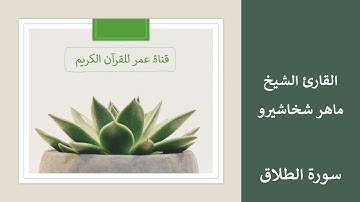 065 ـ سورة الطلاق ـ القارئ الشيخ ماهر شخاشيرو