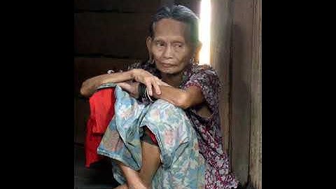 Penan people | Wikipedia audio article