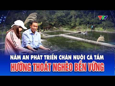 Nậm An phát triển chăn nuôi cá tầm hướng thoát nghèo bền vững