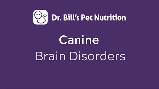 Canine Brain Disorders Dr. Bills Pet Nutrition