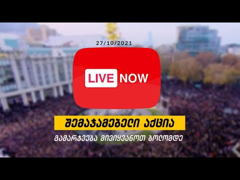 \"გამარჯვება მივიყვანოთ ბოლომდე\" აქცია თავისუფლების მოედანზე ⭕ LIVE