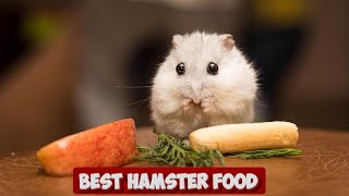 Nourishing Nibbles: The Ultimate Guide to the Best Hamster Food for Optimal Health and Happiness by Pet Needs 63 views 1 month ago 12 minutes, 44 seconds