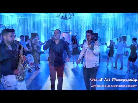 Formația Artis din Iasi