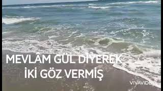 Yiğit Muhtaç Olmuş..mevlam Gül Diyerek..bekir Dedehayır Resimi