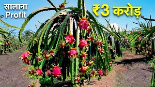 कैसे 30 एकड़ ड्रैगन फ्रूट खेती से हुआ 3 करोड़ का मुनाफा / Dragon Fruit farming plant cutting