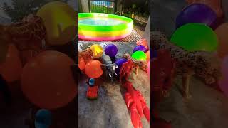 children&#39;s toys animals and robots and balls colors #toys #animals #balls colors