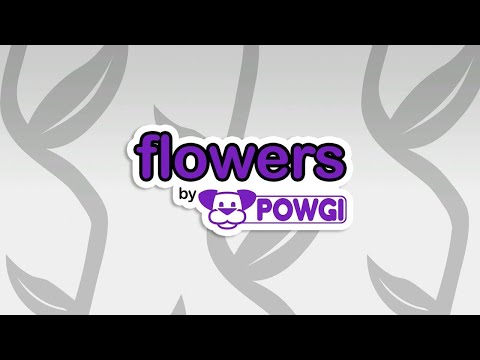 Flowers By POWGI (PS4/PS5/XB1/Switch) Platinum Trophy Guide/Achievements/Required Solutions