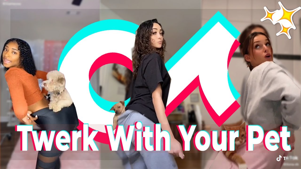 Twerk With Your Pet TikTok Compilation 2020 PerfectTiktok HD YouTube