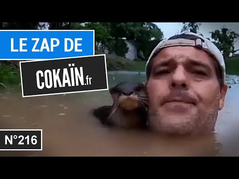 Le Zap de Cokaïn.fr n°216