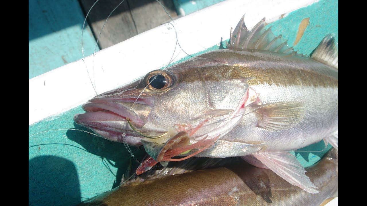 週刊つりニュースのブログ