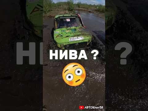 Зелёная нива ?