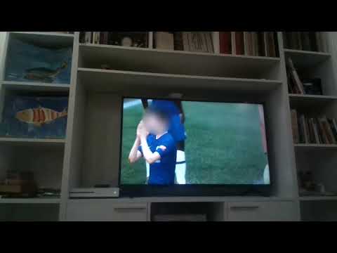 fifa laivi #  61-ის ასლი