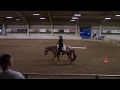 2019 Keystone Classic Green Western Riding - Amy Wunderlich