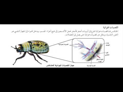بحث احياء عن خصائص المفصليات