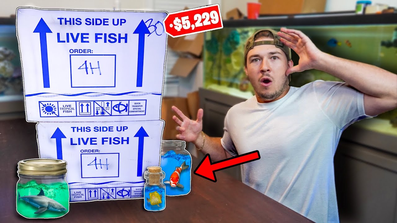 WHAT'S INSIDE THIS LIVE FISH MYSTERY BOX?! 