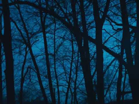 YouTube पर Jasper Tygner - Blue (Official Visualiser) देखें